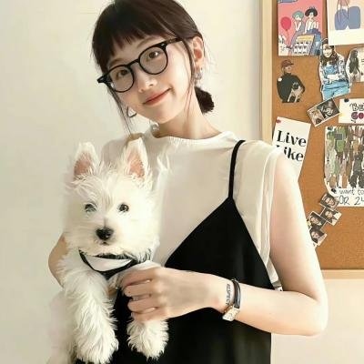 山外的彩虹高清封面